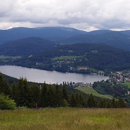 Friedolin Im Baerenhuesli Daire Titisee-Neustadt Dış mekan fotoğraf