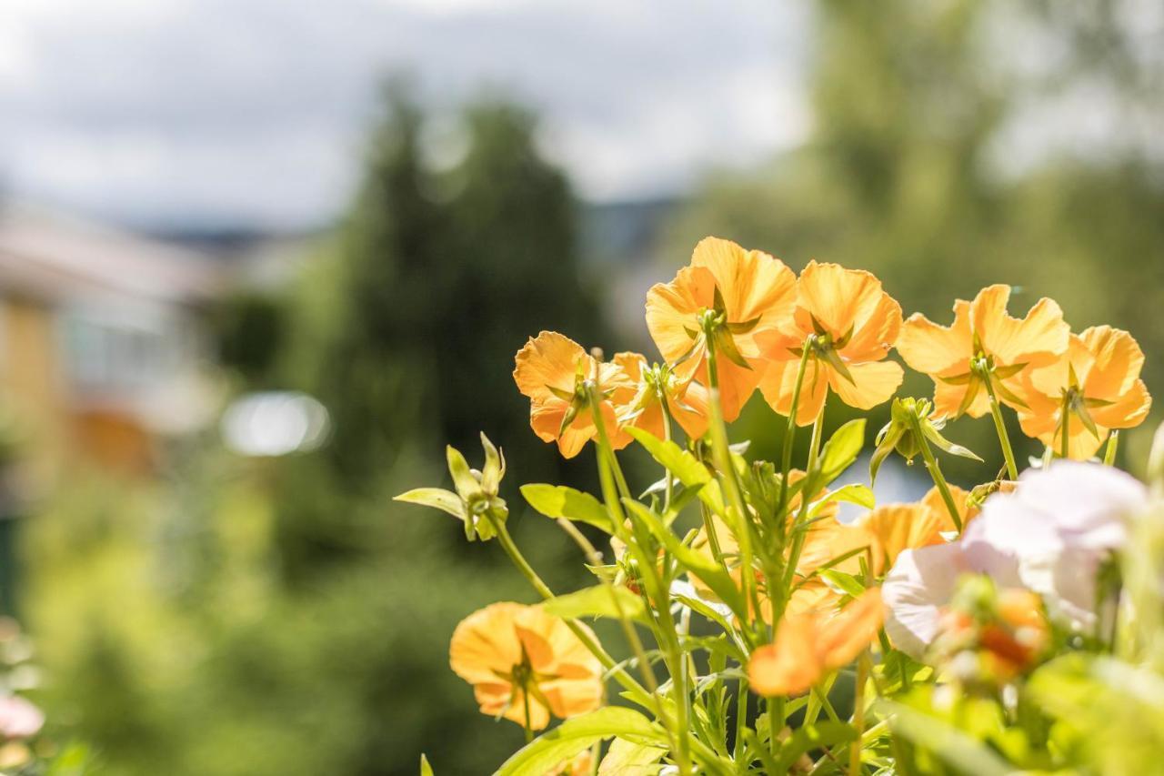 Friedolin Im Baerenhuesli Daire Titisee-Neustadt Dış mekan fotoğraf